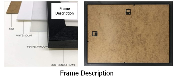 Frame Desciption